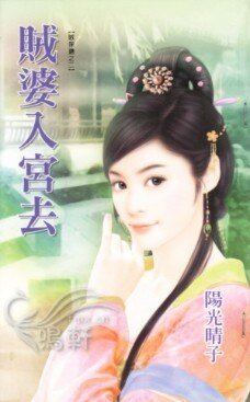 贼婆入宫去(贼保镖之二)