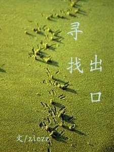 《寻找出口》