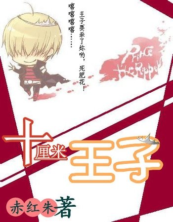 （家教同人）十厘米王子