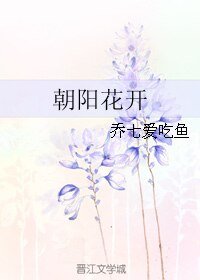 朝阳花开