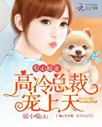 《甜心暖妻:高冷总裁宠上天》