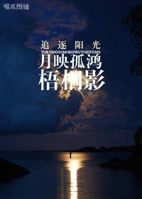 《月映孤鸿梧桐影/小交警,爱的就是你》