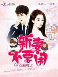 總裁在上:新妻,不要鬧